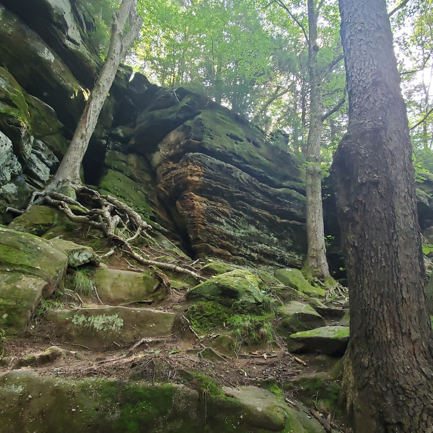 Ledges and Pine Grove Trails 